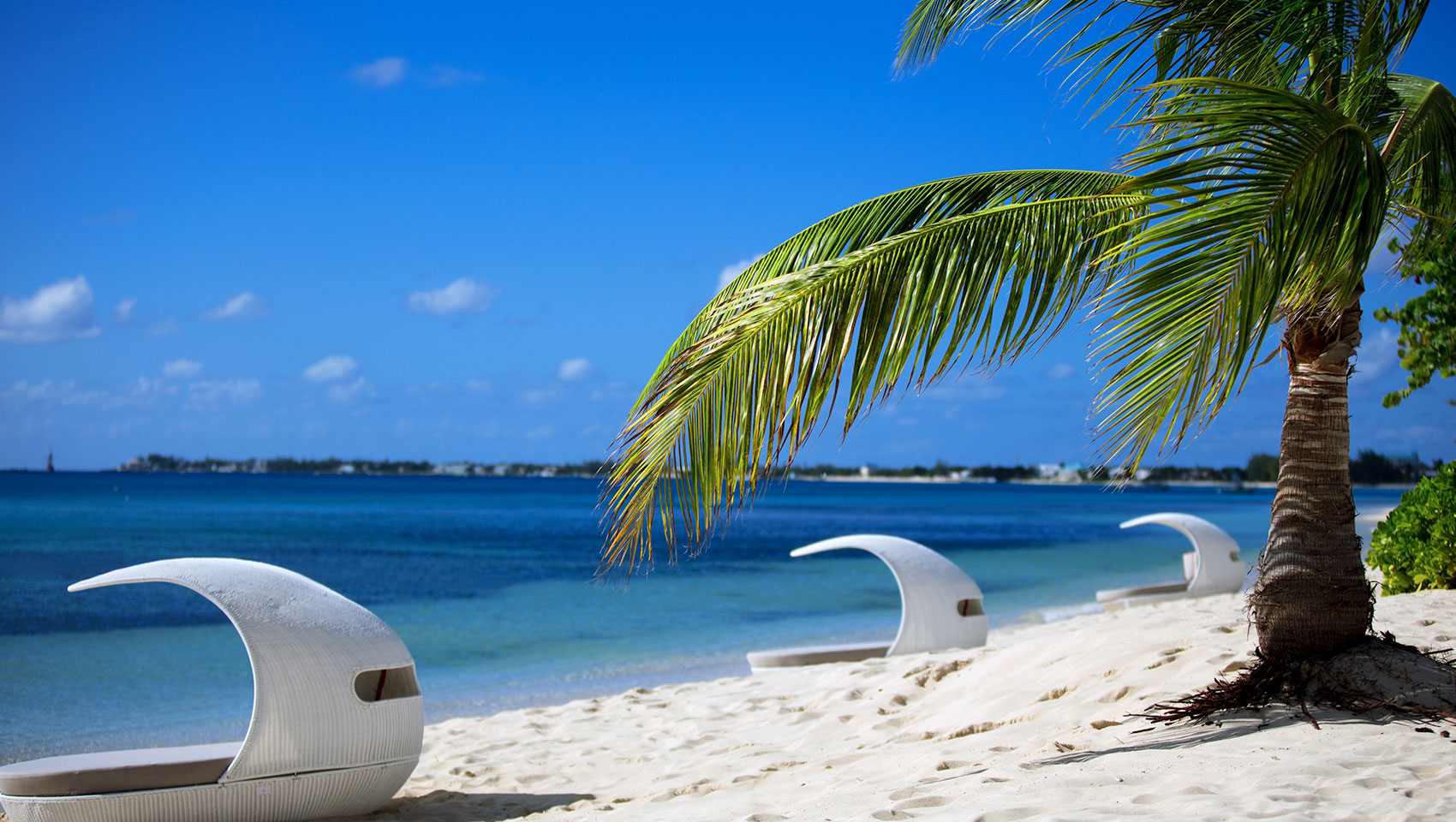 beach and lounge chairs