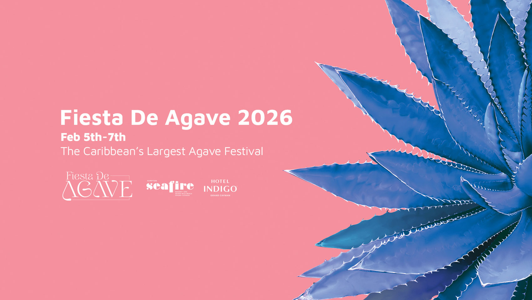 Pink background with flower