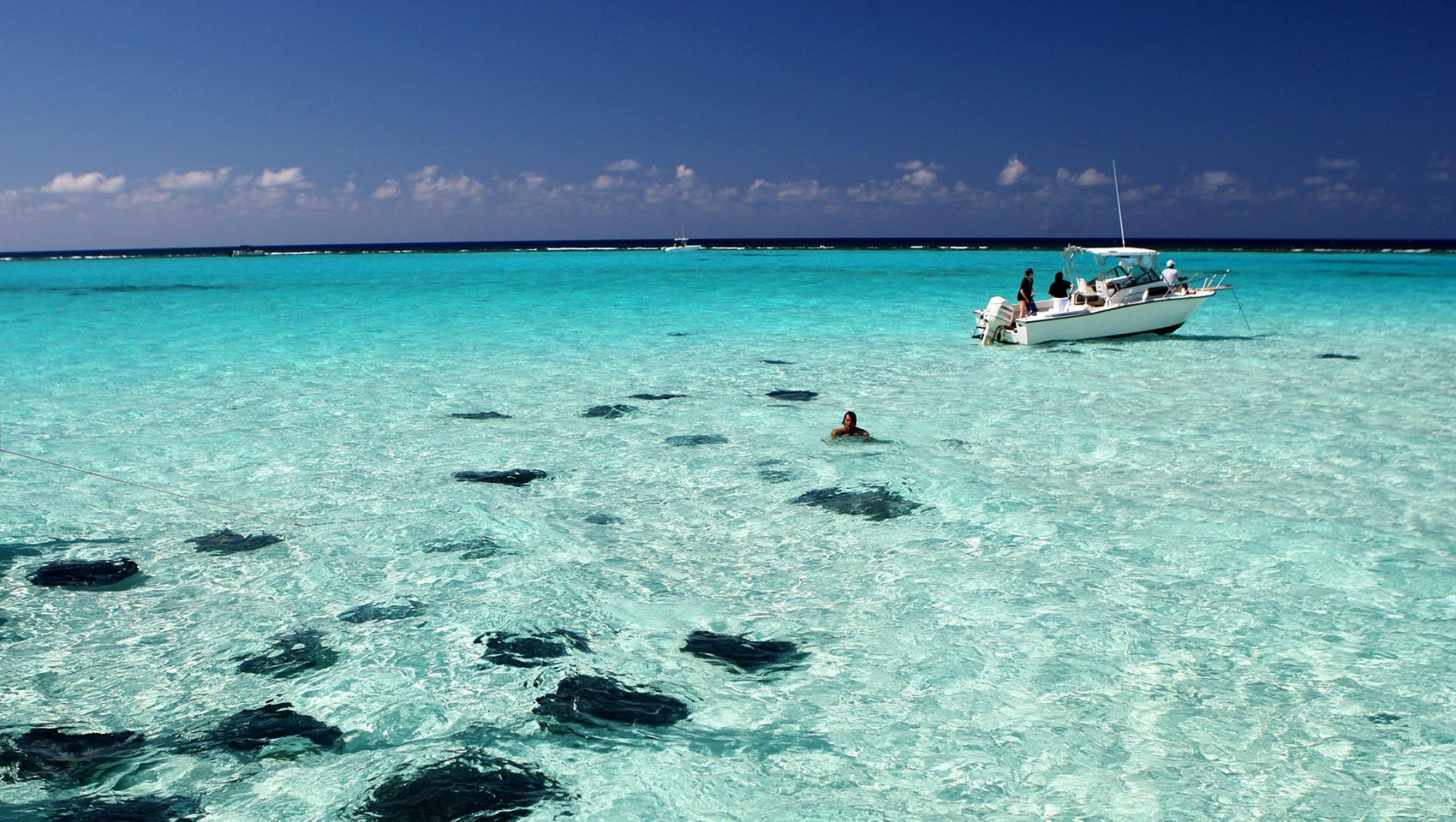 Hotels Near Stingray City