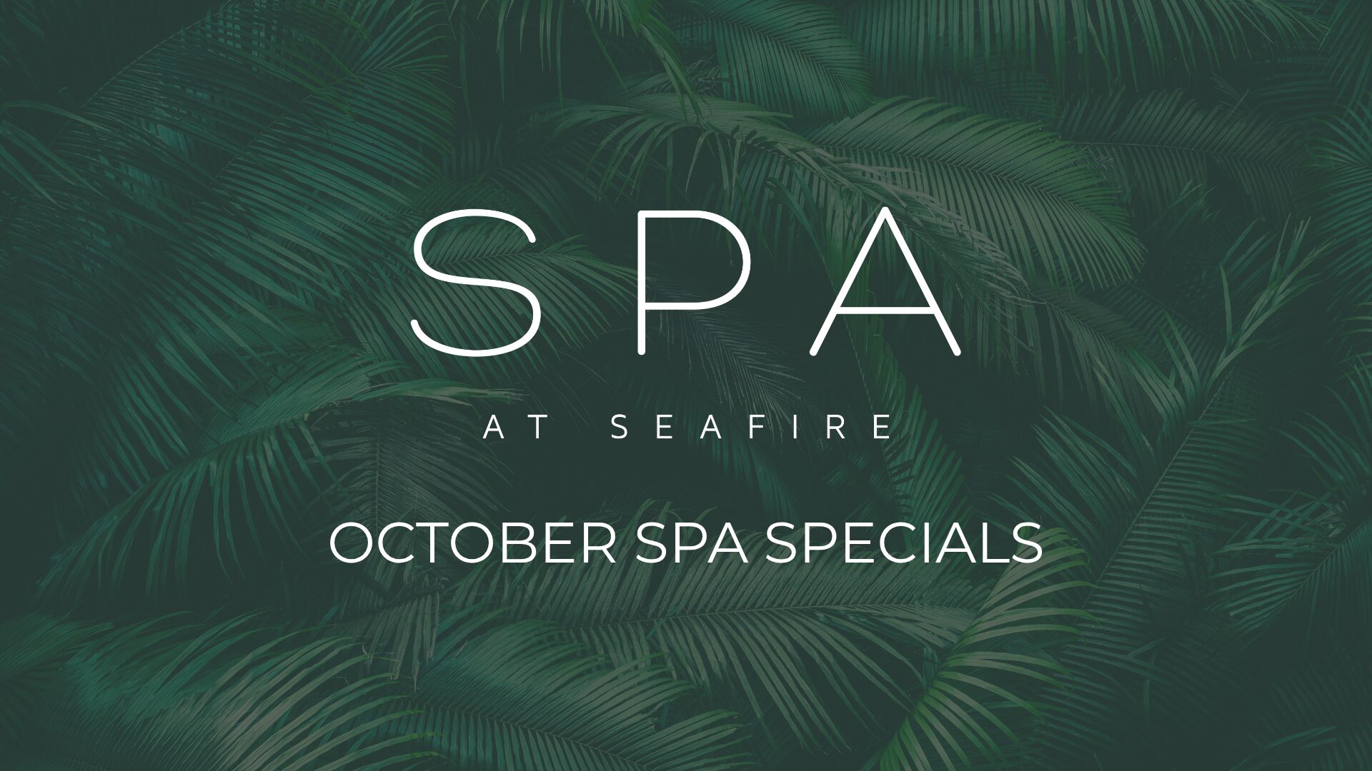 Fall Specials at The Spa at Seafire