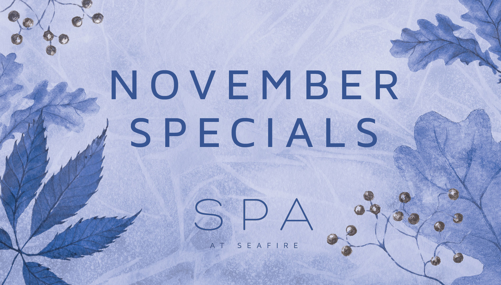 graphic for November Spa Specials