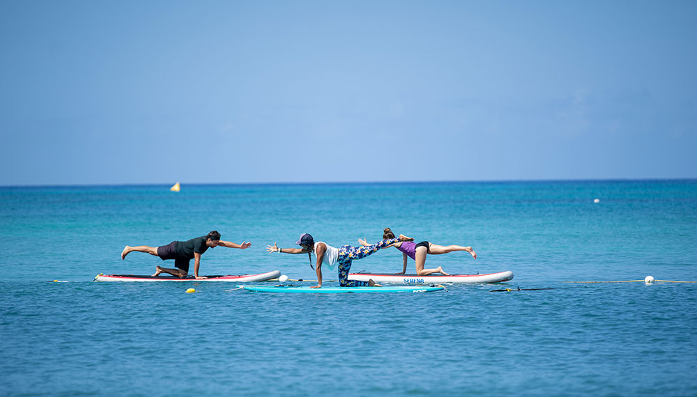 guests on paddle boards in the ocean