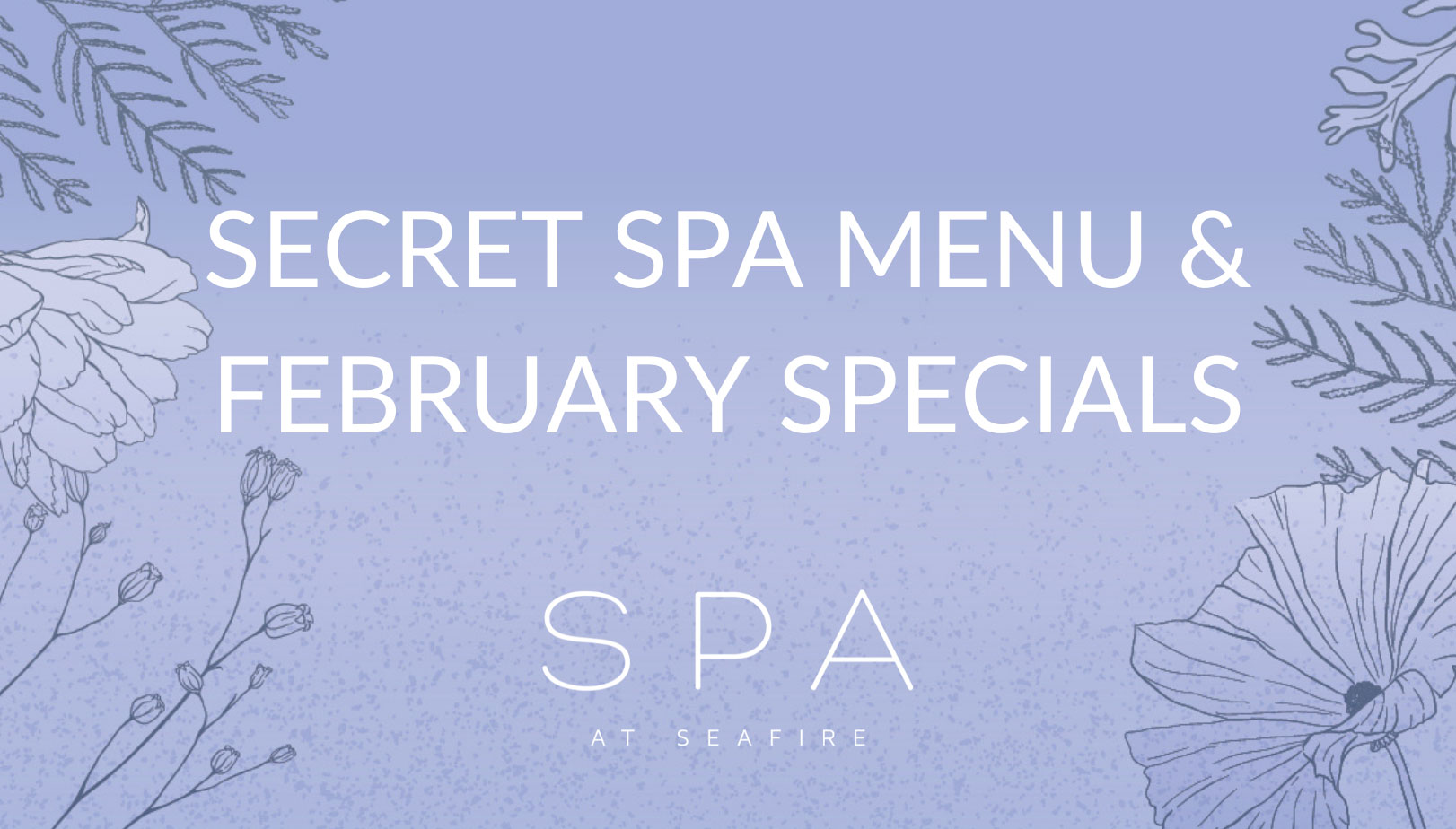 graphic for February Specials - SPA at Seafire