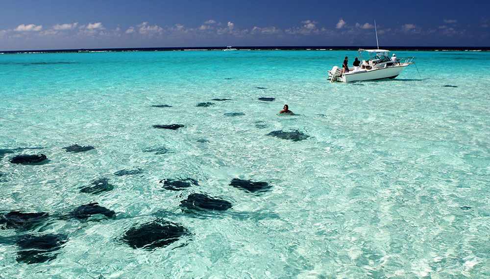 Stingray City