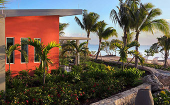 palm trees and ocean view