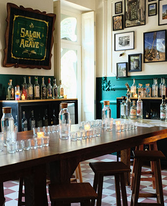 Audrey Hands Headshot